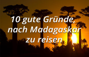 10 gute Gründe, nach Madagaskar zu reisen