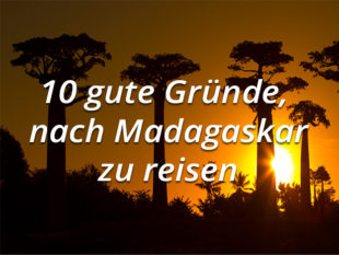 10 gute Gründe, nach Madagaskar zu reisen