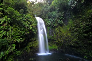 Wasserfall