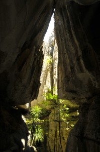 "Kathedrale" in den Tsingy de Bemaraha