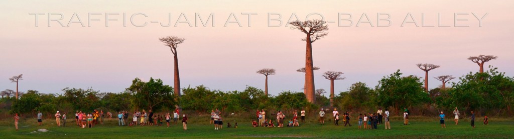 Stau auf der Baobab-Allee