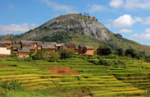 Reisfelder im Hochland