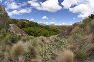 Anja Community Reserve