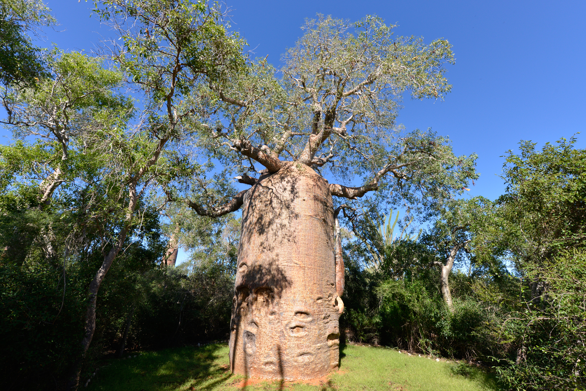 Reservat Reniala MadaMagazine