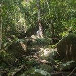 Lokobe Wege