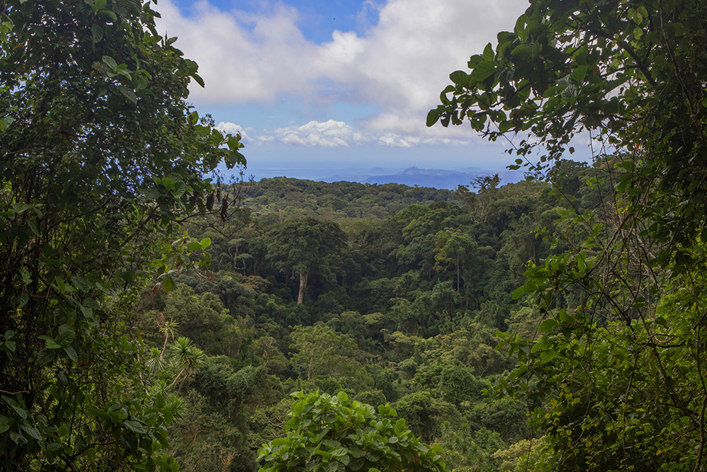 Montagne d'Ambre Nationalpark MadaMagazine