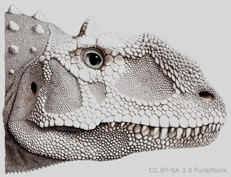 majungasaurus fossil