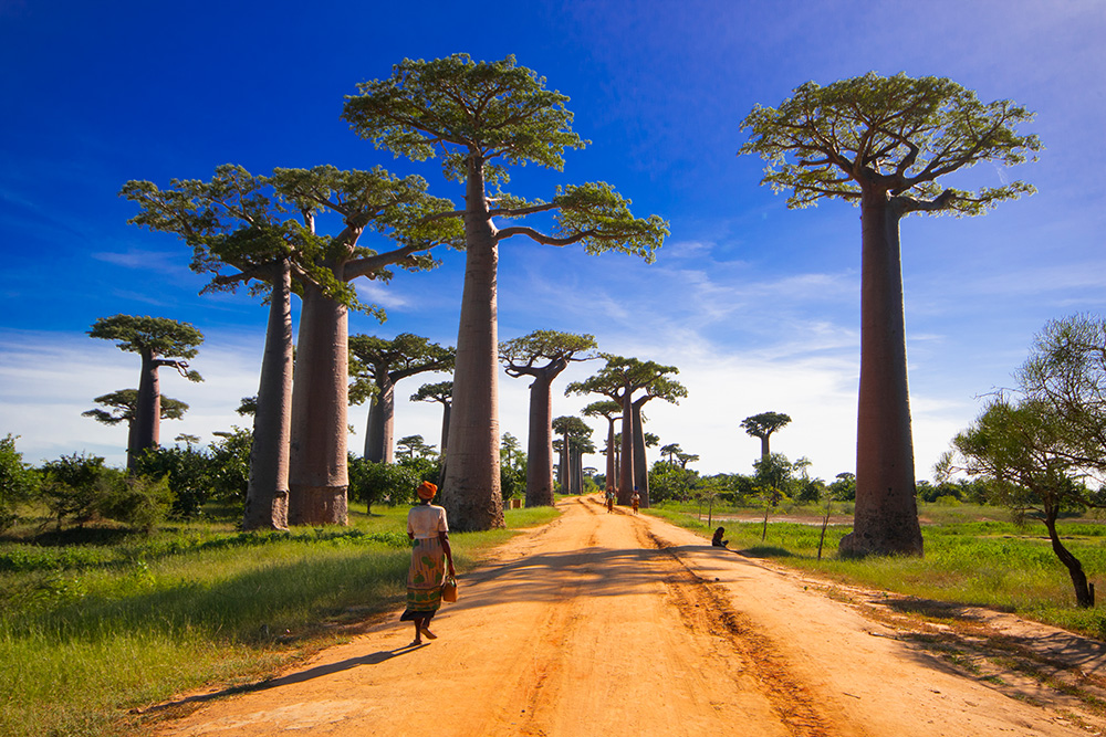 Was weißt du wirklich über Madagaskar? Reisequiz - MADAMAGAZINE