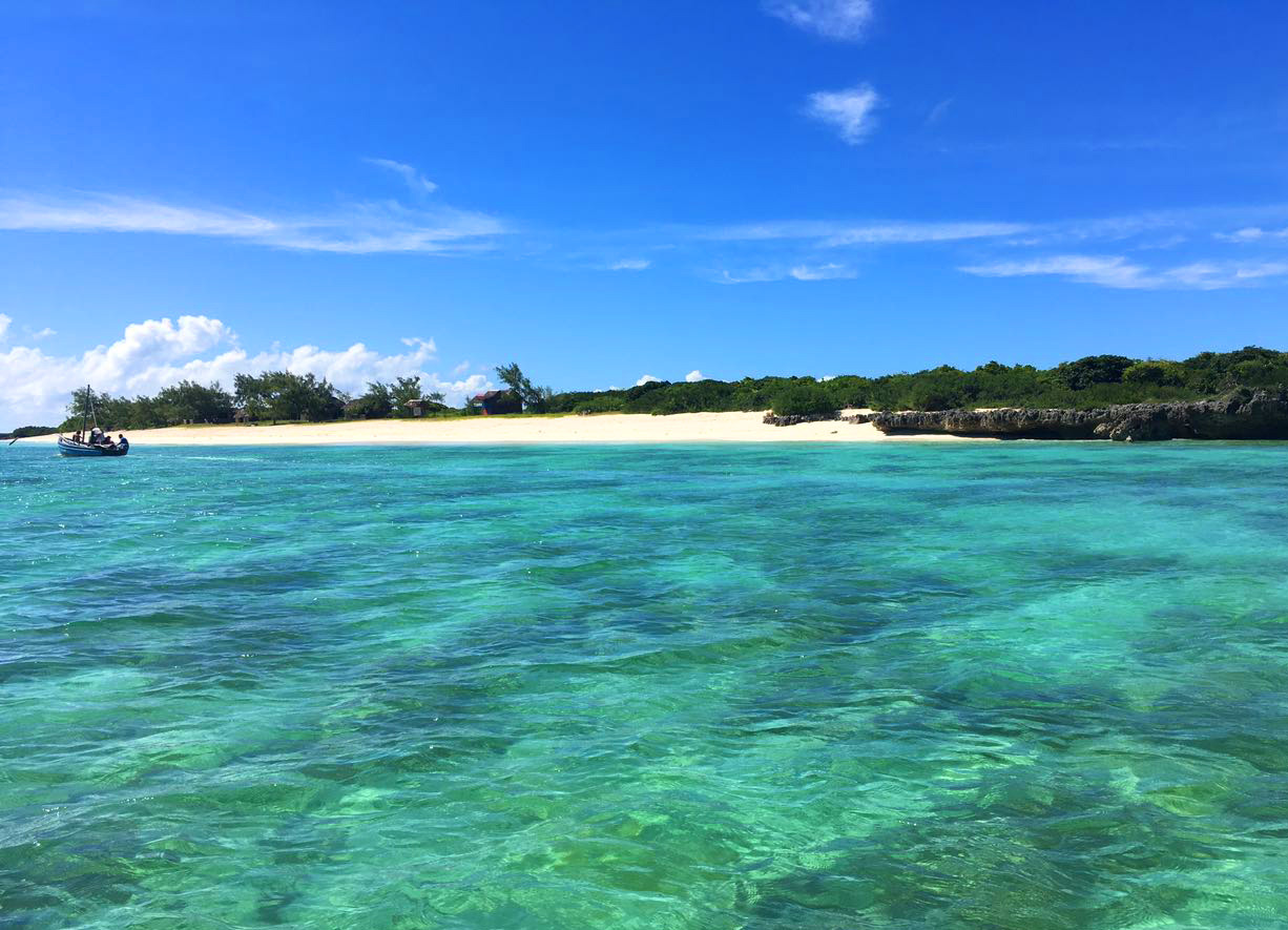 tress emerald sea tress emerald sea