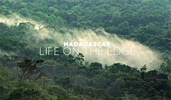 Mediathek - Madagascar - Life on the edge