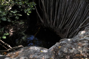 Leben Kalanoro in dieser Höhle?