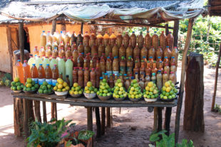 Scharfer Mangosalat in Flaschen, Honig und Orangen an einem Verkaufsstand in Ampijoroa