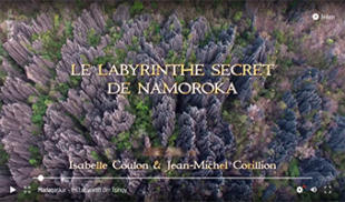 Im Labyrinth der Tsingy Namoroka